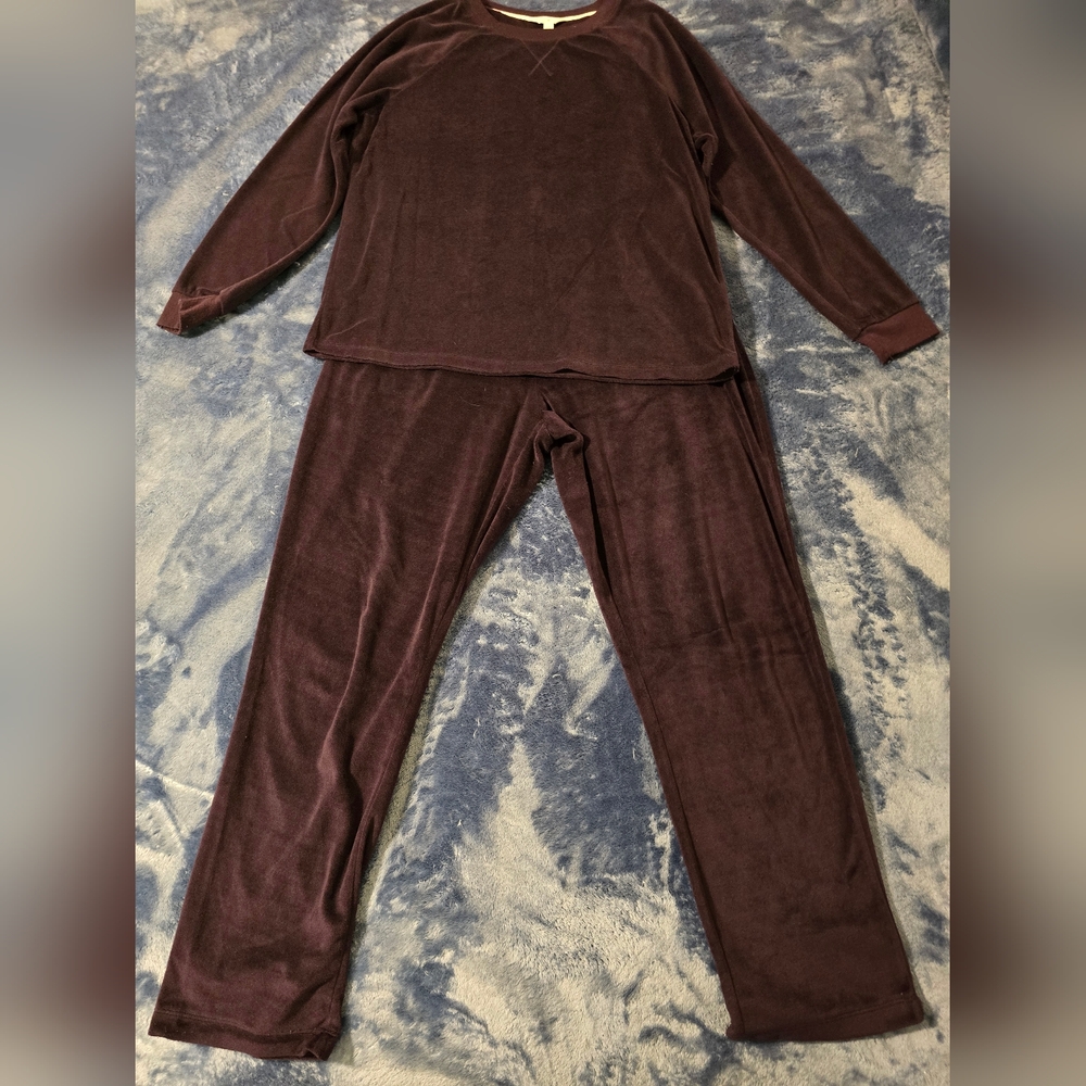 Secret Treasures Women's Medium Purple Velour Pajamas